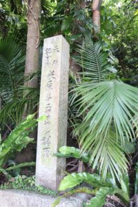 ヤエヤマヤシ群