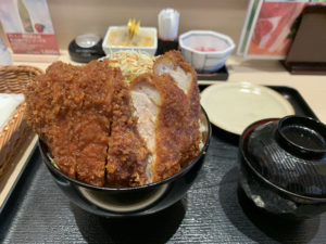 明治亭下呂駅亭